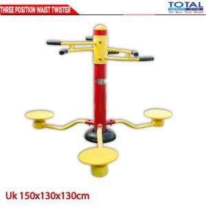 Three Position Waist Twister