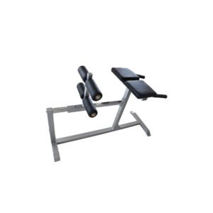 Roman Chair